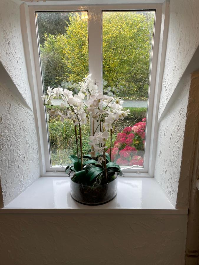 Canalside Cottage In The Heart Of Llangollen. Exteriör bild